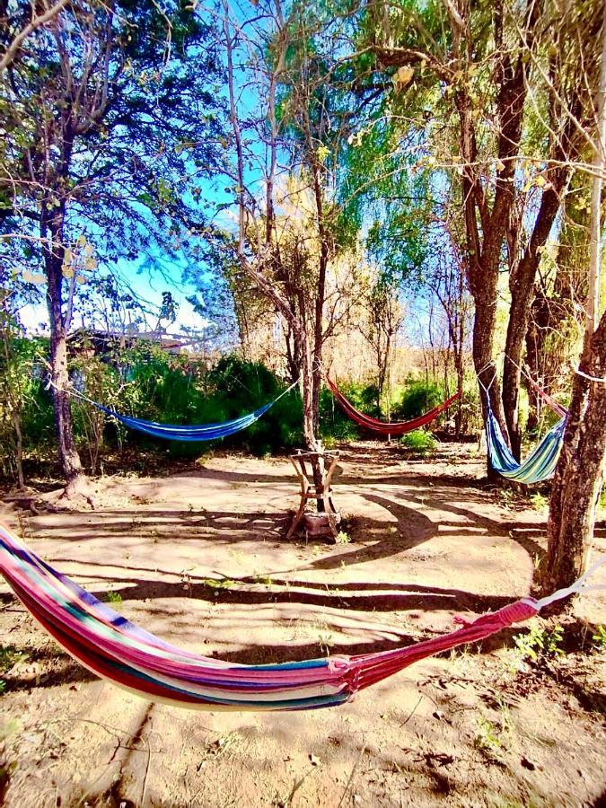 Suri Atacama - Eco H&T Guest House San Pedro de Atacama Ngoại thất bức ảnh