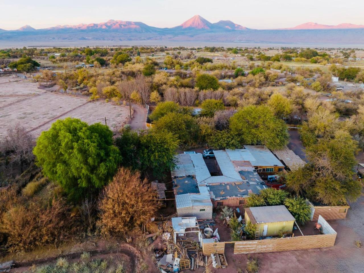 Suri Atacama - Eco H&T Guest House San Pedro de Atacama Ngoại thất bức ảnh